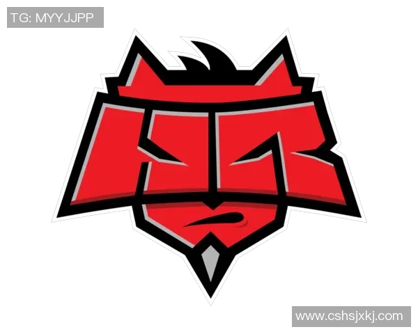 深入分析JDG战队在CSGO中的团队配合与战术执行策略