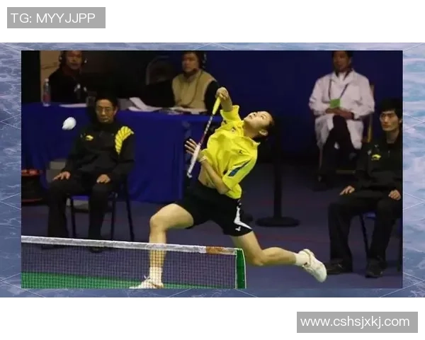 深圳羽毛球队灵活性分析与提升策略探讨